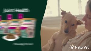 NaturVet Glucosamine DS Maintenance Care Level 1 70 Soft Chews / 60 Chewable Tablets / Scoopables