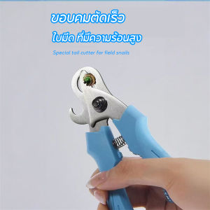 ที่ตัดก้นหอย เปิดขวดได้ด้วย ตัดง่ายไม่ต้องใช้มีดฟันให้ยุ่งยาก เครื่องตัดเกลียวอัตโนมัติ และไม่เสียงโดนมือ