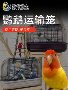 Genuine Goods Luxury Viewing Panoramic Transportation Satchel Transparent Bird Cage Parrot Carrying Cage Tiger Skin Peony Xuanfeng
