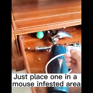 CBLUE Mouse Repeller Rat Repellant Plant Formula Repellent Cream Rat Killer Mothballs Rats Powerful