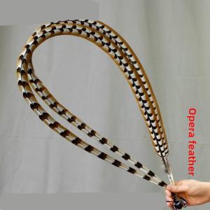 Natural Wild Pheasant Feathers Long Plumes Chicken Feathers for Beijing Opera Performances Monkeys King Sun DIY Fashion Accessories