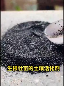 Effective Plants Soil Activator Fertilizing Flower Potting Nutrienting Plant Soil Loosening Essence Strong Rooting Fertilizer Nutrient-Rich Plant Growth Enhancer