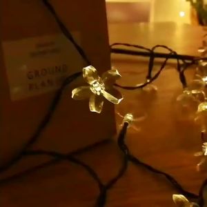 6.5M 30LED Solar String Sakura Lights LED Outdoor Waterproof Festival Garden Decorative Lights Christmas Tree Decorative Lights