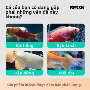 BESSN | Disinfecting Water Softening Aquarium Salt Balls
