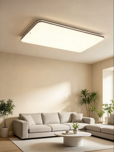 Panasonic | Eyes-Protecting Full-Spectrum LED Ceiling Light for Dining Room and Living Room