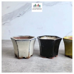 The Leaferie Petit Bonsai Pot / Tray (Series 76) Hexagon Ceramic Plant pot Flowerpot . Purple Sand Planter. Flower pots