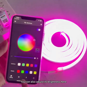 5M/10M RGB Neon Light Strip with APP and Remote IP67 Waterproof Music Sync Mode for Bedroom Room Outdoors