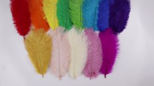 15-45cm Dyed Ostrich Feathers 10Pcs Natural Feather for Crafts Wedding Party Decor Mask Making Flapper Headbands Fascinators