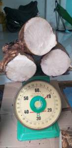 10kg bạc hà núi bao tươi mới