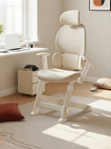QIMIAOWU | Ergonomic Study Chair Comfortable Lumbar Support
