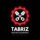 Tabriz motor autoparts 