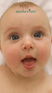 MOTHERLOVE LITTLE TOOTH & GUM WIPES 30 SHEETS - Tisu Basah Pembersih Mulut Gusi Gigi dan Lidah Khusus Bayi - Food Grade