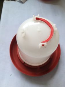 waterer 2litre for pet and checkin