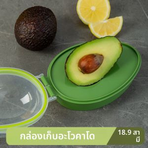 เครื่องปรับสีเขดอุสดันเฉพาะอย่างและกล่องจับใช้อุโมงคูขนาดเล็กสุเปอร์เก็บรักษาฝักผลไม่องศาดา