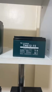 Top Seller Tianneng 12V AGM Gel Deep Cycle Lead Acid Battery 21/25/28/38/45/52Ah Heavy Duty Replacement Power Cell for Nwow Ebike E-Trike