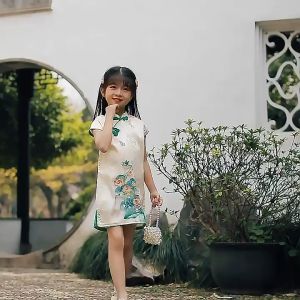 [1-10 Years] daidai (Ready Stock) Girl Dress Cheongsam Hanfu Kid Children CNY Clothes 女童仿真丝旗袍夏季短袖连衣裙洋气小女孩儿童古装演出服装复古风