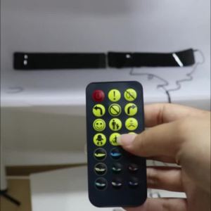 1Pair Car Truck Flexible Smart LED Screen Demon Eyes Front Rear Windshield Decor DIY Animation Display Soft Matrix Pixel Panel