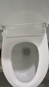 Smart Toilet Built-In Tank No Water Pressure Limit No Power Needed Bidet & Feminine Wash Waterproof & Shockproof