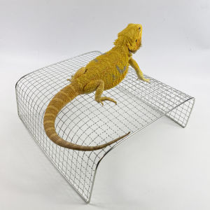Stainless Steel Basking Platform for Young Lion Tailed Geckos Climbing Rock Scenery Resting Stage Pet Reptile Enclosure Accessories