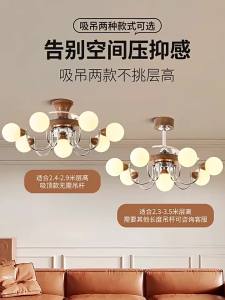 DGY | Vintage Bean-Shaped Luxury Dining Room Fan Light