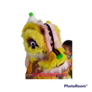 BARONGSAI ANAK CEWEK DAN COWOK TERLARIS