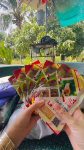 (conbo 5 gói) Cám SẮC TỐ LÔNG Lê Thịnh chính hãng gói 100gr BẢO AN SHOP