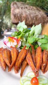500gr Khô Cá Lau Kiếng- Loại Ngon Mới Thịt Dày - Đóng Gói Kỹ Lưỡng Làm Quà Biếu- VỰA KHÔ MINH TRIẾT