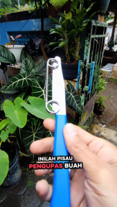 Pisau Pengupas Buah Sayur Stainless Steel 22cm Dengan Pegas Gagang Nyaman Tajam Anti Karat