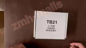 ZK-TB21/ZK-MT21: Papan Speaker Nirkabel & Modul Amplifier TPA3116