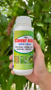 Phân Bón VL TN Nuti-Bo [Bo-HQ 101 Comcast] Bo+ Canxi NAA – Kéo Bông Dưỡng Hoa Xanh Nụ Trội Hột (Chai 500ml)