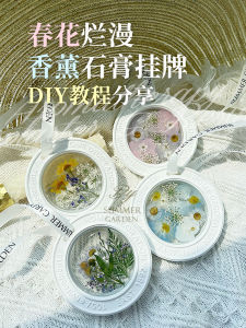 Thiệp Treo Nước Hoa Treo Tường Làm Bằng Tay Bằng Bột Gốm Thơm Bằng Dầu Hoa Khô Trang Trí Nhà Xe Phụ Kiện Nước Hoa Mở Rộng