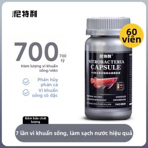 Netlea | Viên Nitrifying Bacteria Làm Sạch Nước