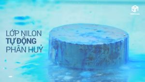 [KOREA] Bộ 5 Vỉ  tẩy ố vàng bồn cầu vệ sinh bồn cầu khử mùi hôi bồn cầu Blueshot Hàn Quốc - Hàng chính hãng