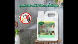 ส่งทันที น้ำยาพ่นควันยุง ไล่ยุง มด แมลงคลาน บิน