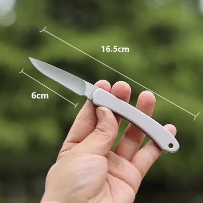 Stainless Steel Folding Travel Knife