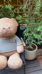 Sách - Global success  Bài tập cuối tuần Tiếng Anh lớp 3 tập 2 ( Có đáp án )