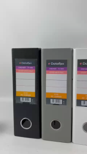 Penpal - Ordner File / Lever Arch File PP ukuran Folio / A5