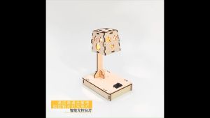 DIY Table Lamp Kit: Fun and Educational STEM Toy for Children to Build and Explore Science Concepts Hands-On: Kids Toys