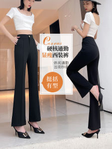 High Waist Wide Leg Pants Womens Casual Drapey Elastic Waist Thin Style Spring Summer New Arrival Ladies Straight Leg Trousers