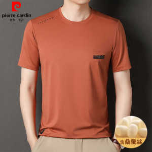 Pierre Cardin Mens Short Sleeve T-Shirt round Neck Ice Silk Casual Fashion Summer Wear Breathable Comfortable Standard Fit