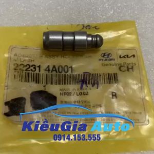 Con đội thủy lực Hyundai HD35L HD36L HD37L 2017 Chính hãng