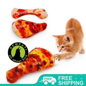 SEMPATI Boneka Bentuk Paha Ayam Goreng Tulang Mainan Kucing Anjing Catnip Bantal Gigitan Kucing Cat Toys Mainan Kucing Pet Toys Anti Stress Cat Nip Doll