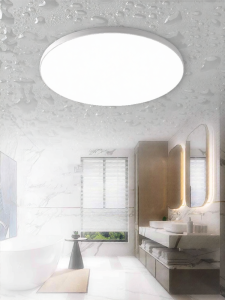 PAIMIJI | Ultra-thin 3-in-1 Protection LED Ceiling Light for Bathroom