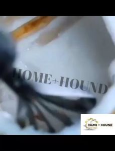 HOME + HOUND Essential Stainless Steel Manual Coconut Scraper & Cheese Shredder