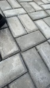 NEW!! Sneakers Sports Pria Import MN-07 - Sepatu Pria Kanvas Import - Sepatu Olahraga Kekinian Sneakers (+Box) Import