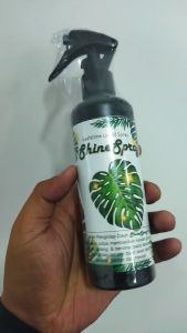 Pengkilap Daun Leaf Shine Spray Glowing - 250 ml