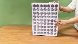SANFURNEY 63-Slot Acrylic Paint Storage Rack for 2oz Bottles Desktop & Wall Mount Fits Apple Barrel & FolkArt Craft Paint Organizer