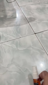 [BISA COD] Parfum Kopi Bali Spray Pengharum Mobil Ruangan Pewangi Botol Original 20ml