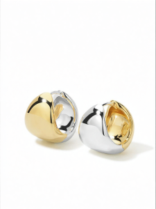 Silver Earrings  Two-Way Wear Dual-Color Round Design