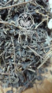 Daun Kumis Kucing Kering 1 kg Organik Asli Hutan